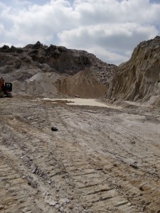 1565850513729779.jpg 201611101002529194.jpg