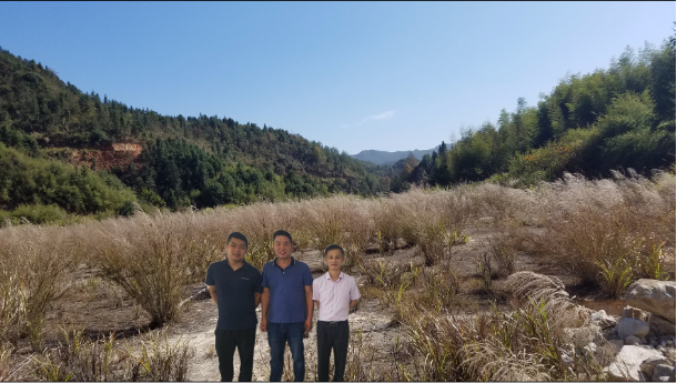 1623826268899319.png 圖片1.png